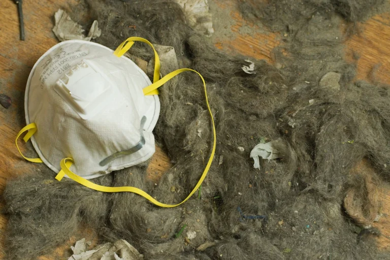 Professional asbestos removal service in Perth