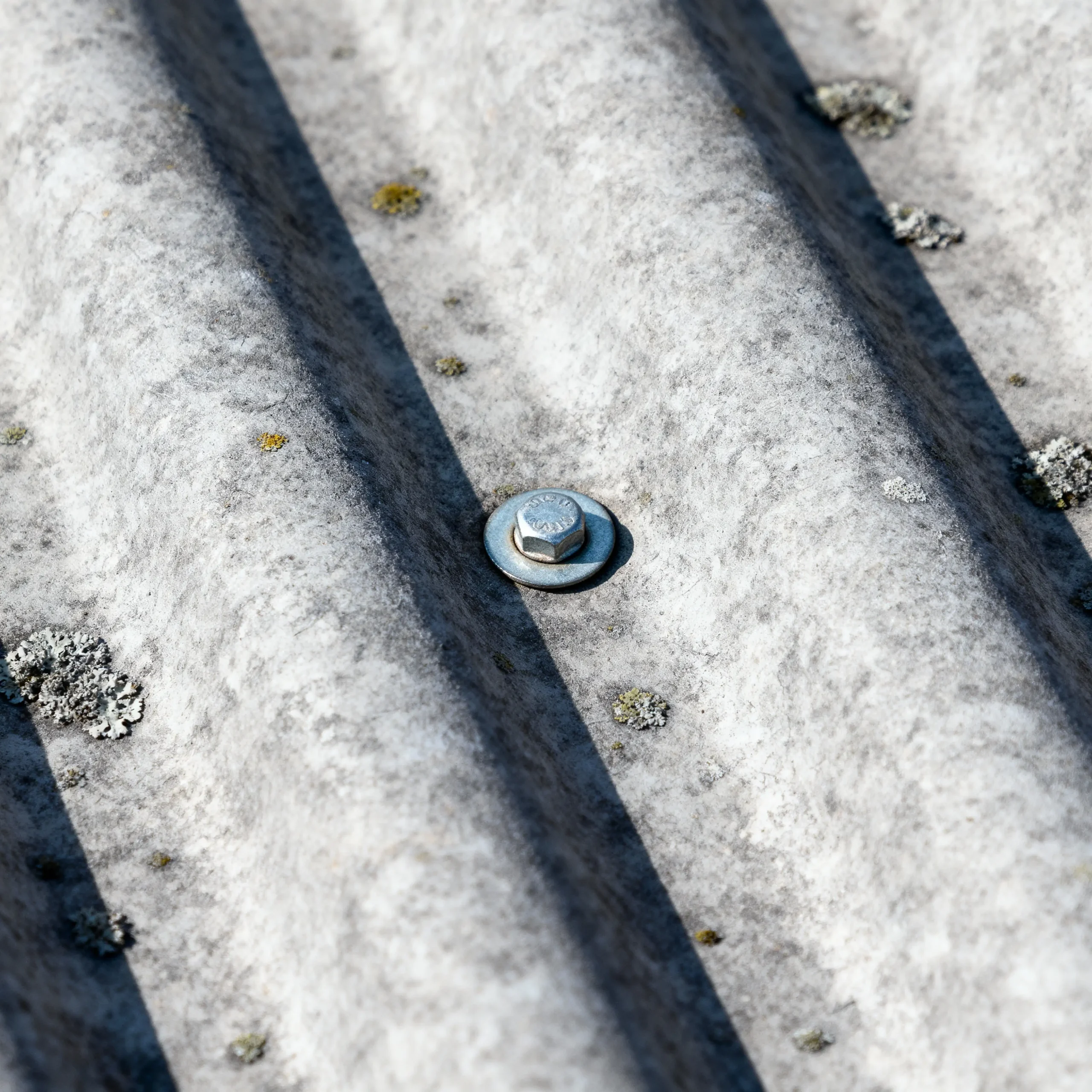 Close-up of grey corrugated asbestos-cement (fibro) sheet with fixing bolt and light lichen—texture detail, Perth.