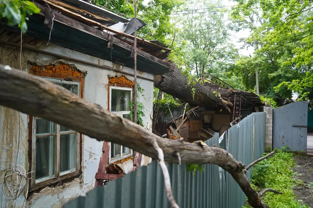 A house with a collapsed roof and a fallen tree